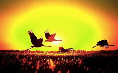 關(guān)于豁達(dá)心胸的詩句