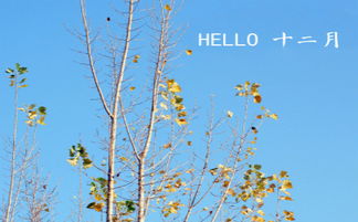 明月和寒冷的詩句古詩詞