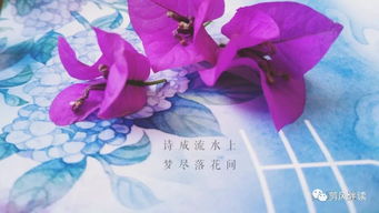 詩(shī)句,凋謝,花朵