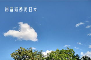 冬天蘇州的詩句古詩