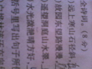 表達一切都無所謂的古詩句