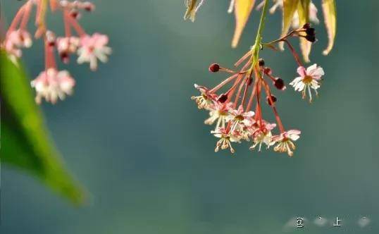 關于再見的詩句春風