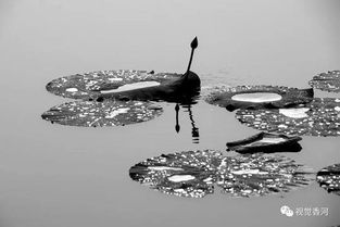 關(guān)于石布的詩句