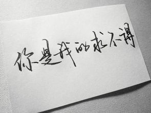 關(guān)于不念過(guò)往的詩(shī)句