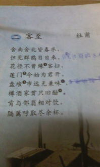 關(guān)于同問的詩句