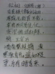 初中關(guān)于松的詩句