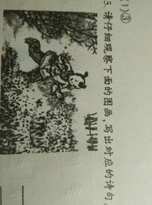 關(guān)于菜花的詩句古詩詞