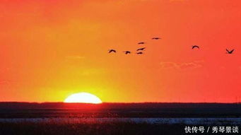 認(rèn)同古詩(shī)句