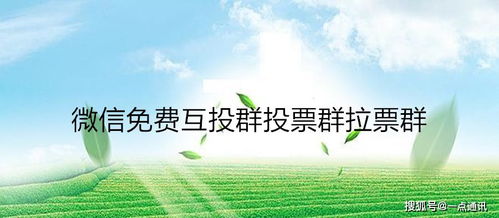 關(guān)于拉票的詩(shī)句