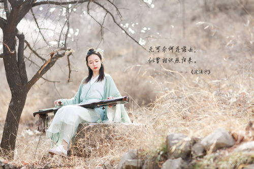 感慨時(shí)間的詩(shī)句的古詩(shī)詞