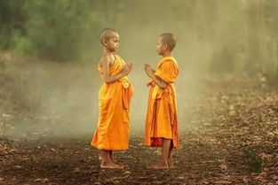 表達(dá)不后悔的古詩(shī)句6