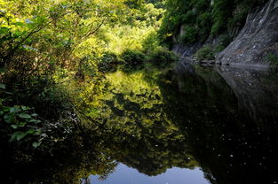 關(guān)于山青水秀的詩(shī)句