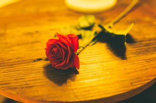 關(guān)于演講的詩(shī)句