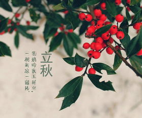 關(guān)于立秋的民俗和詩(shī)句