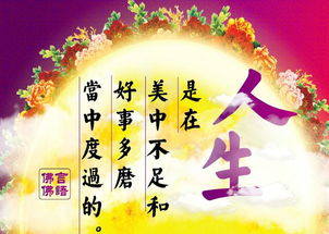 關(guān)于佛語(yǔ)的詩(shī)句