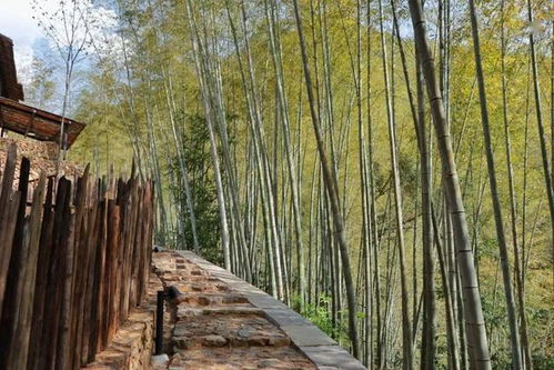 關(guān)于居桃的詩句古詩