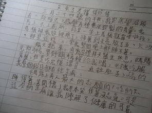 失去之后才懂得珍貴作文開頭