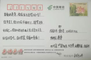 親情溫暖我心作文開頭結(jié)尾