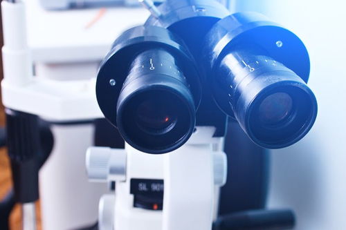 關(guān)于母親幫助我們的作文開(kāi)頭結(jié)尾