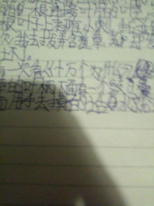 觀察植物作文400字開頭寫聽說(shuō)