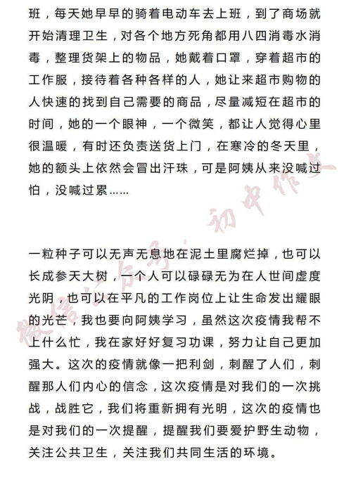 平凡與不平凡作文開頭