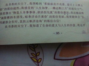 我抬頭看見(jiàn)作文開(kāi)頭