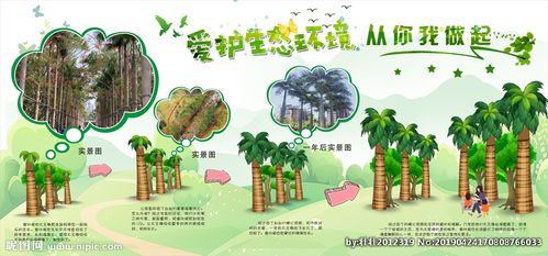 保護(hù)樹木，愛護(hù)樹木(保護(hù)樹木，愛護(hù)樹木)