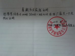 暑期船廠實(shí)踐報(bào)告(個(gè)人暑期實(shí)踐報(bào)告)