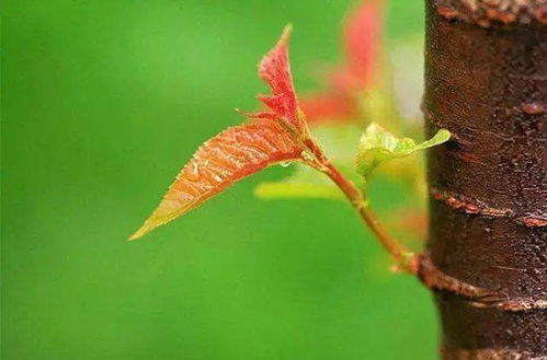 一句讓我暖心的話作文開頭