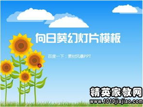 幼兒園教師年度個(gè)人工作述職報(bào)告范文(幼兒園教師年度個(gè)人工作述職報(bào)告范文)