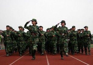 軍人軍訓(xùn)個(gè)人自我鑒定(軍人自我鑒定)