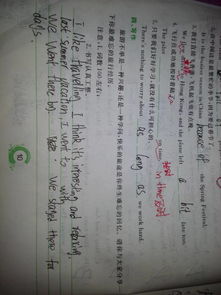 作文,英文,開(kāi)頭,難忘