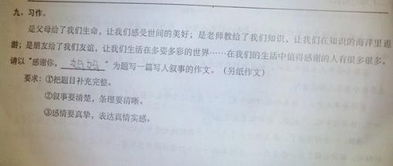 以挫折為題450字作文開頭