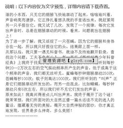 我是一個什么謎的作文開頭