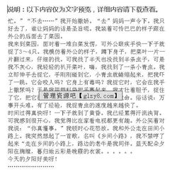 記得一次的嘗試作文開頭結尾