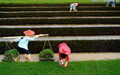 勞動的感覺真好作文的開頭