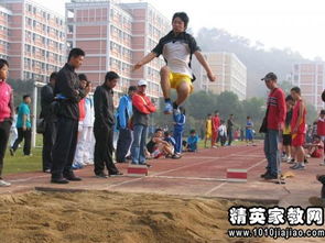 運(yùn)動(dòng)會(huì)上的收獲開頭和結(jié)尾怎么寫作文