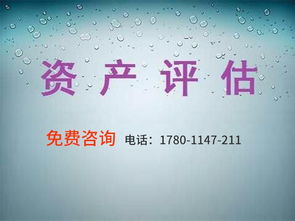 無形資產(chǎn)評估報告(無形資產(chǎn)評估報告)