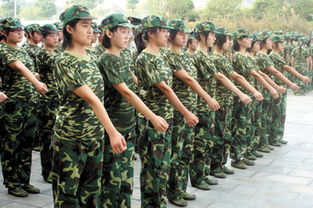 大學(xué)軍訓(xùn)思想總結(jié)(大學(xué)軍訓(xùn)思想總結(jié)字)