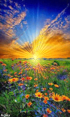 關(guān)于親情或友情的作文開頭