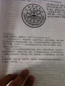 作文,提綱,開頭,寫作