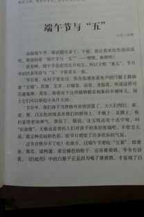 快樂的端午節(jié)600作文開頭