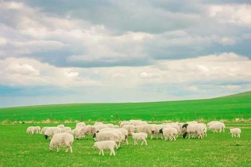 初中最美的風(fēng)景500字作文開(kāi)頭結(jié)尾