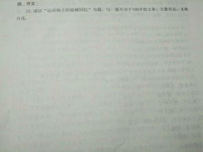 運(yùn)動(dòng)場上的溫暖回憶作文的開頭