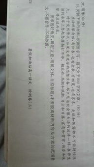 十五，十六作文800字(十五月亮十六圓 )