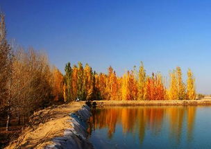 關(guān)于金秋十月的作文開頭