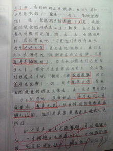 點(diǎn)亮一盞感恩的燈作文開(kāi)頭