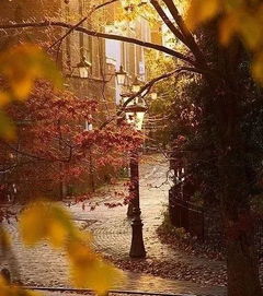 疫情作文開頭結(jié)尾優(yōu)美段落,愛國作文開頭結(jié)尾優(yōu)美段落,窗外作文開頭結(jié)尾優(yōu)美段落