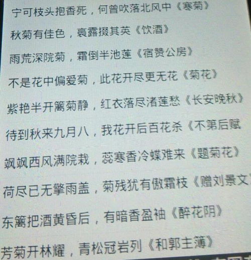 有關(guān)于菊花古詩開頭的作文