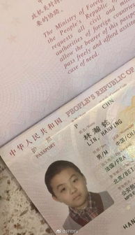 澄清(澄清的造句)